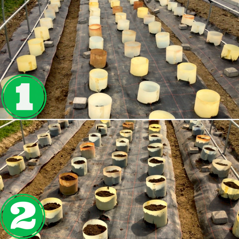 cylindry spinane 20 cm x 20 cm