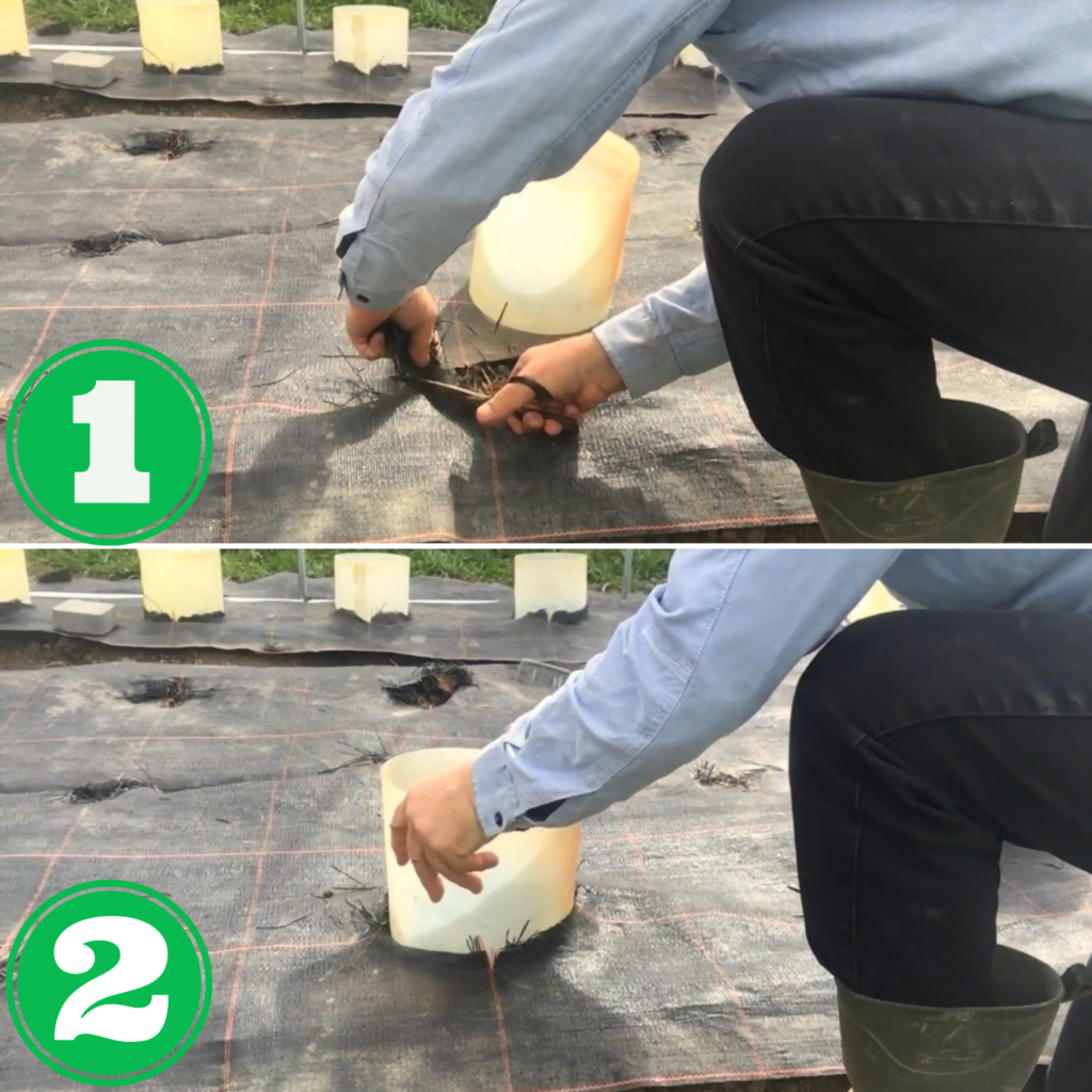 doniczki spinane 20 x 20